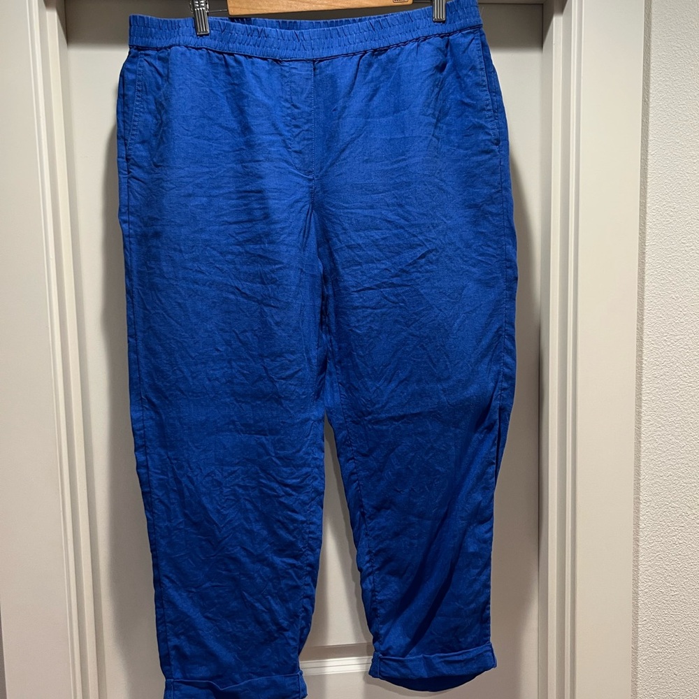 J. Jill Woman’s Vibrant Blue Chinos
